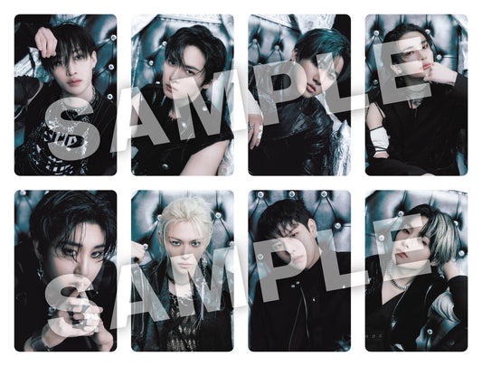 Stray Kids Giant DominATE Osaka Limited Photocards