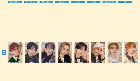 Stray Kids Toy World Benefit B Photocards